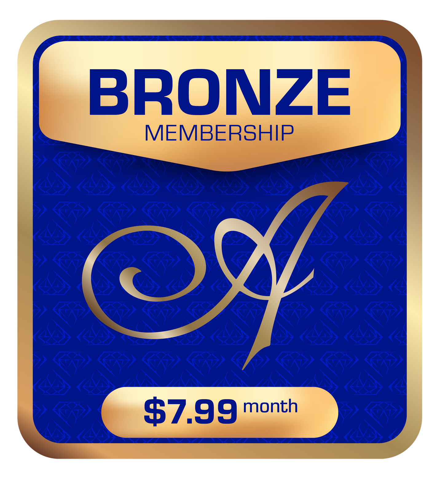 Bronze Membership (Basic Level)